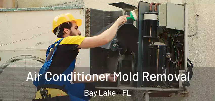  Air Conditioner Mold Removal Bay Lake - FL