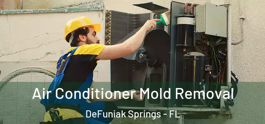Air Conditioner Mold Removal DeFuniak Springs - FL