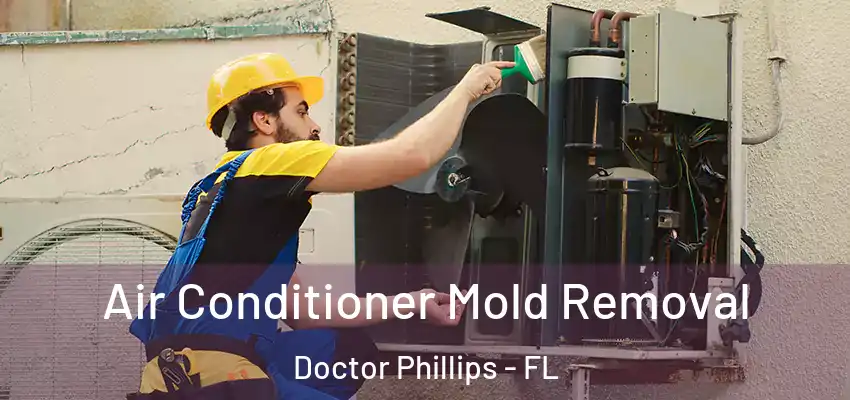 Air Conditioner Mold Removal Doctor Phillips - FL