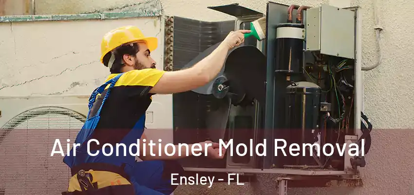  Air Conditioner Mold Removal Ensley - FL
