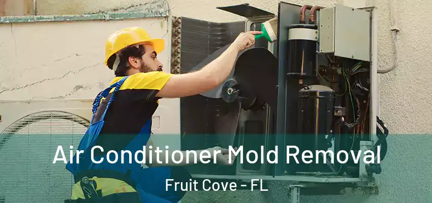  Air Conditioner Mold Removal Fruit Cove - FL