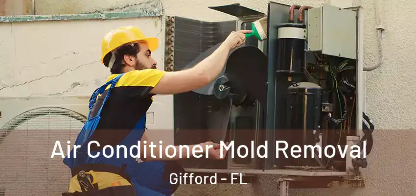  Air Conditioner Mold Removal Gifford - FL