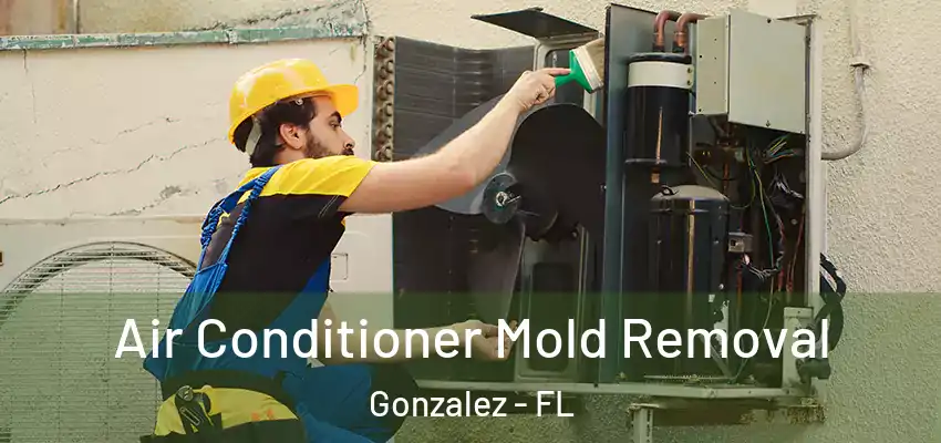  Air Conditioner Mold Removal Gonzalez - FL