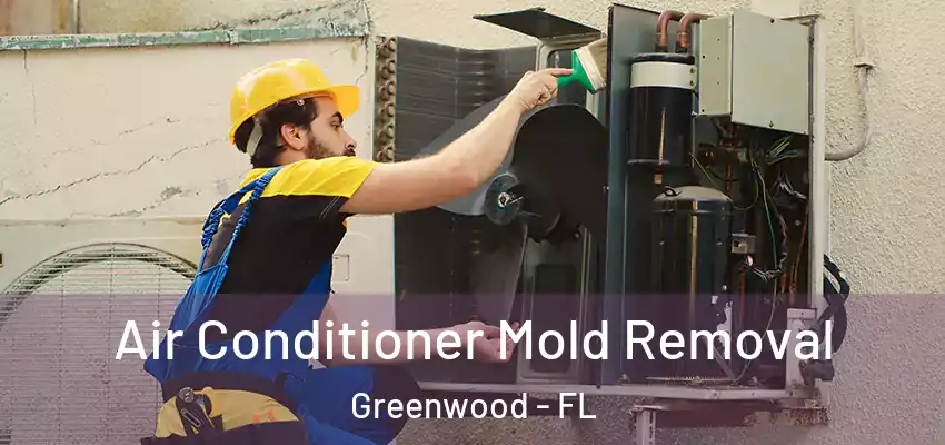 Air Conditioner Mold Removal Greenwood - FL