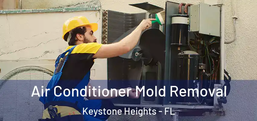  Air Conditioner Mold Removal Keystone Heights - FL