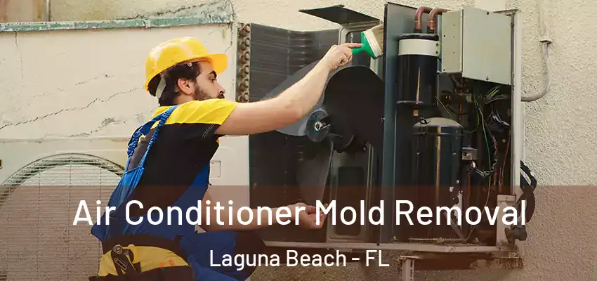  Air Conditioner Mold Removal Laguna Beach - FL