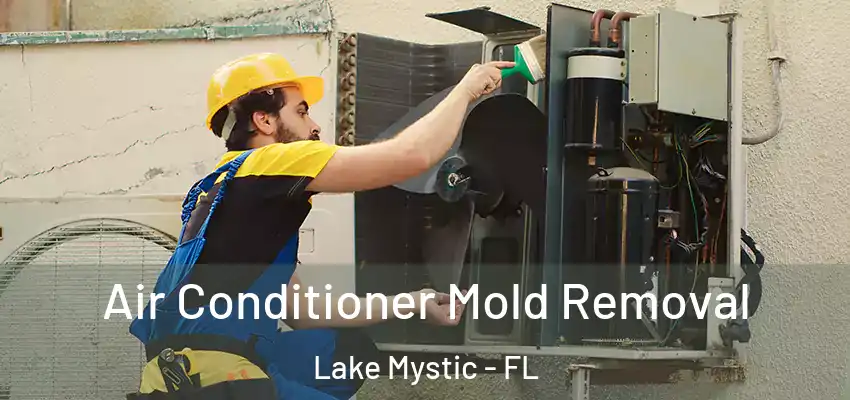 Air Conditioner Mold Removal Lake Mystic - FL