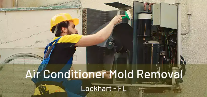 Air Conditioner Mold Removal Lockhart - FL