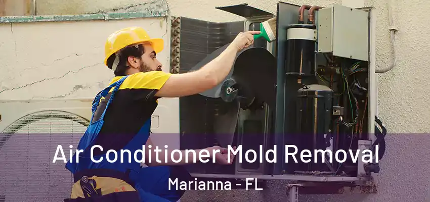 Air Conditioner Mold Removal Marianna - FL