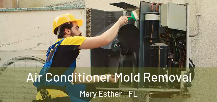  Air Conditioner Mold Removal Mary Esther - FL
