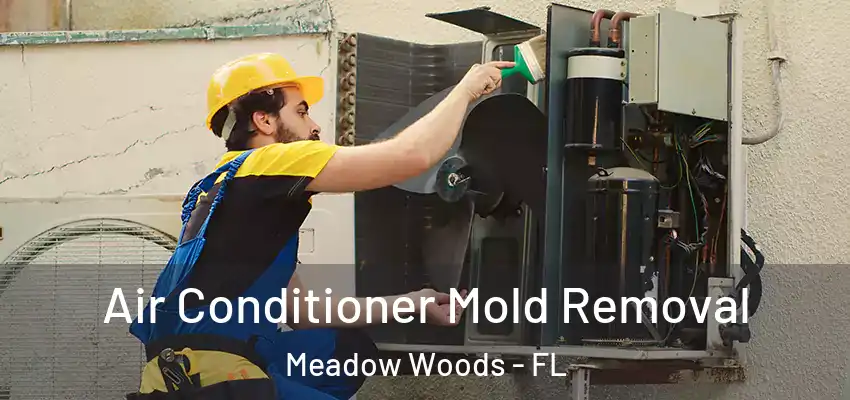  Air Conditioner Mold Removal Meadow Woods - FL