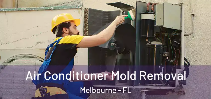  Air Conditioner Mold Removal Melbourne - FL