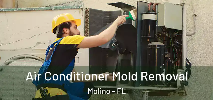  Air Conditioner Mold Removal Molino - FL