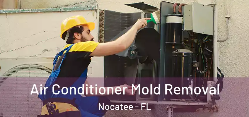  Air Conditioner Mold Removal Nocatee - FL