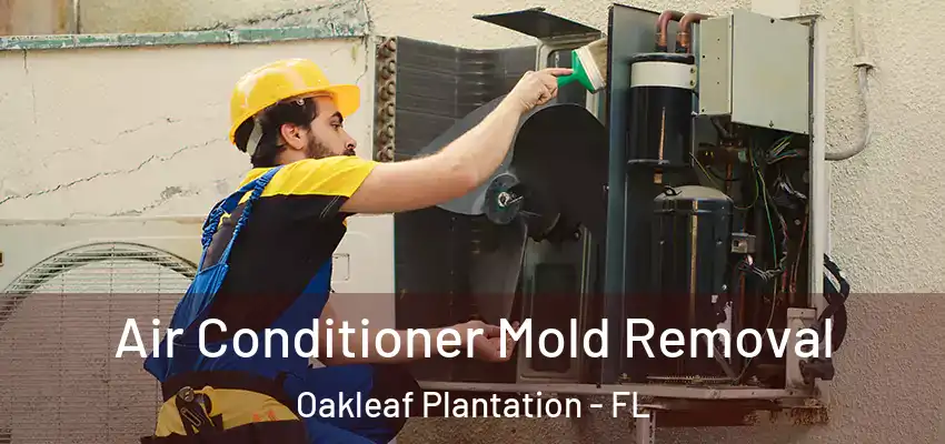  Air Conditioner Mold Removal Oakleaf Plantation - FL