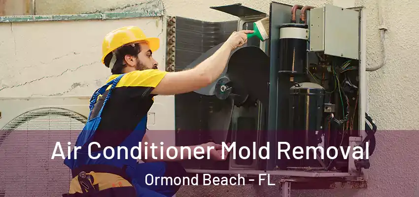  Air Conditioner Mold Removal Ormond Beach - FL