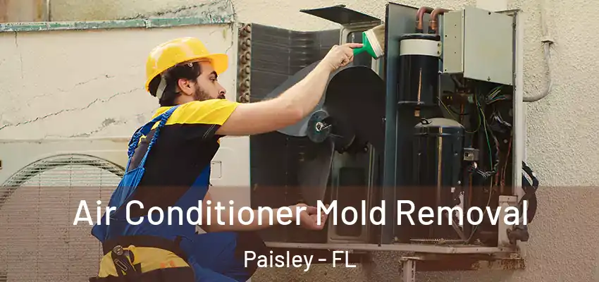  Air Conditioner Mold Removal Paisley - FL