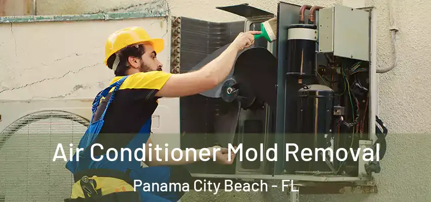Air Conditioner Mold Removal Panama City Beach - FL