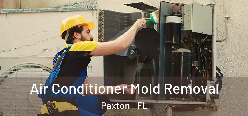 Air Conditioner Mold Removal Paxton - FL