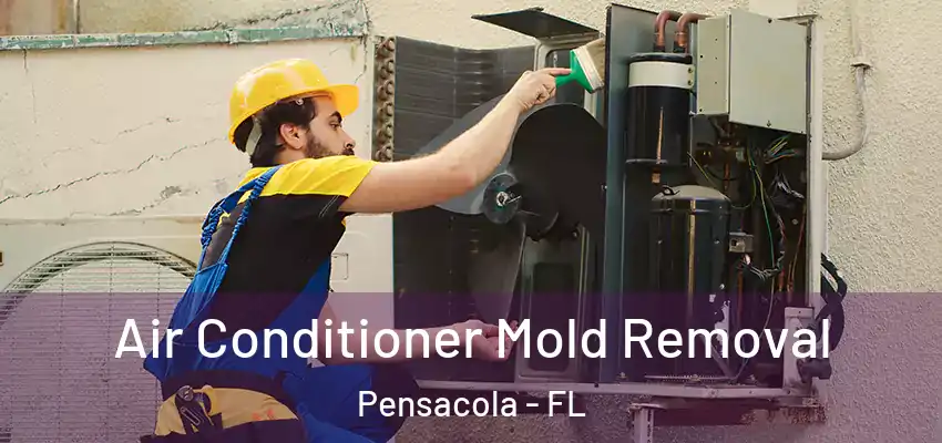  Air Conditioner Mold Removal Pensacola - FL