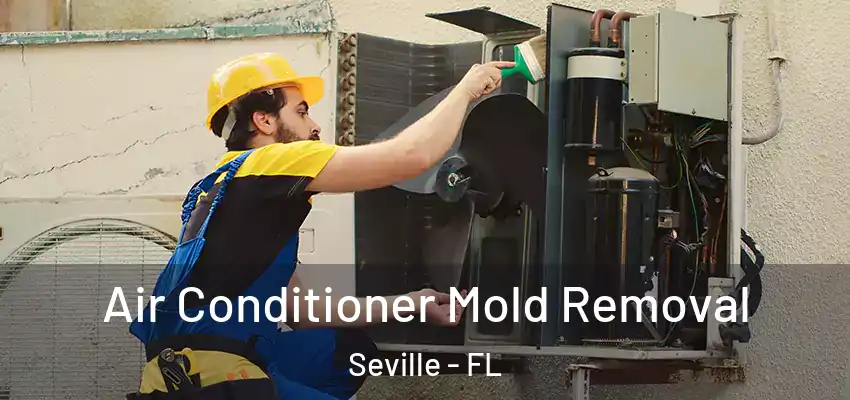  Air Conditioner Mold Removal Seville - FL