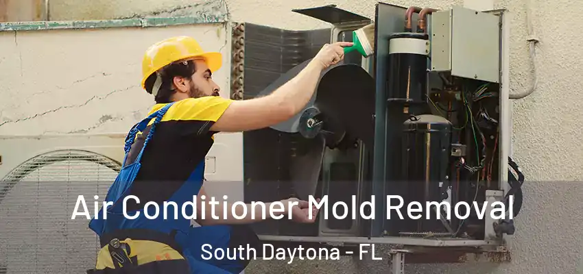 Air Conditioner Mold Removal South Daytona - FL