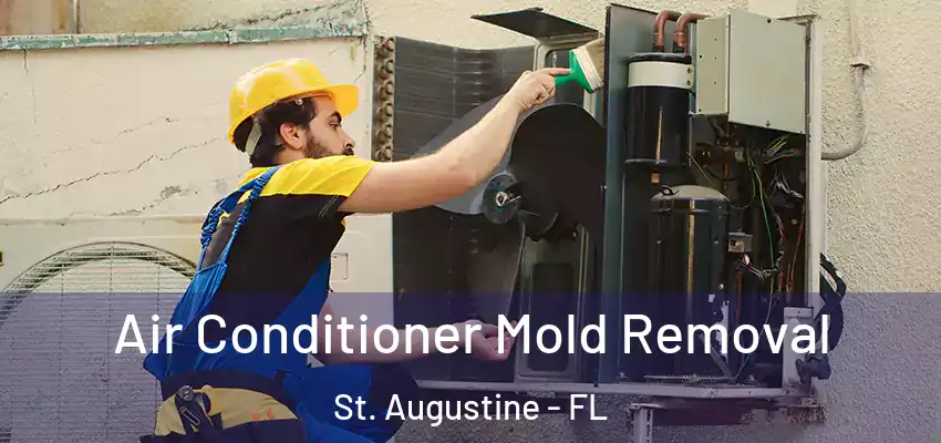 Air Conditioner Mold Removal St. Augustine - FL
