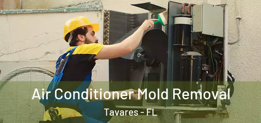  Air Conditioner Mold Removal Tavares - FL