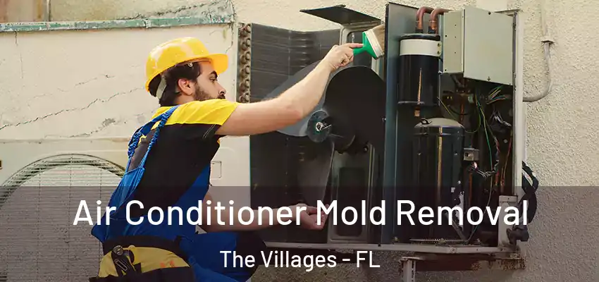  Air Conditioner Mold Removal The Villages - FL