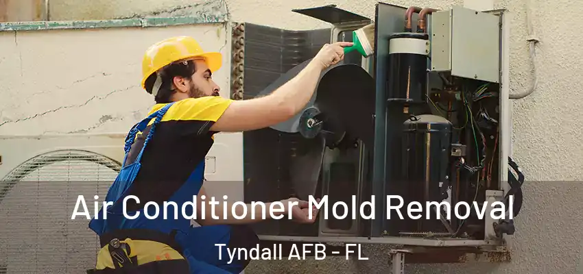  Air Conditioner Mold Removal Tyndall AFB - FL