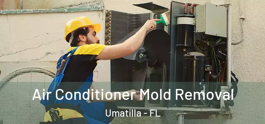  Air Conditioner Mold Removal Umatilla - FL
