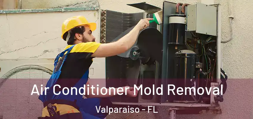  Air Conditioner Mold Removal Valparaiso - FL