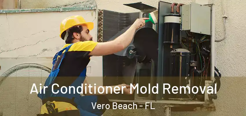  Air Conditioner Mold Removal Vero Beach - FL