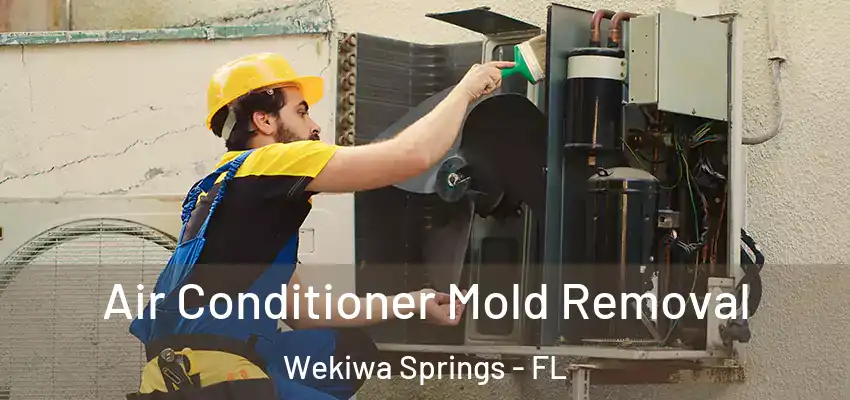 Air Conditioner Mold Removal Wekiwa Springs - FL