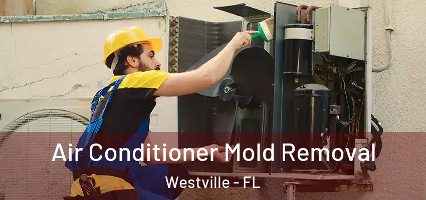 Air Conditioner Mold Removal Westville - FL