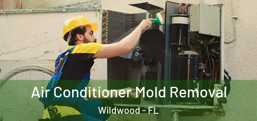  Air Conditioner Mold Removal Wildwood - FL