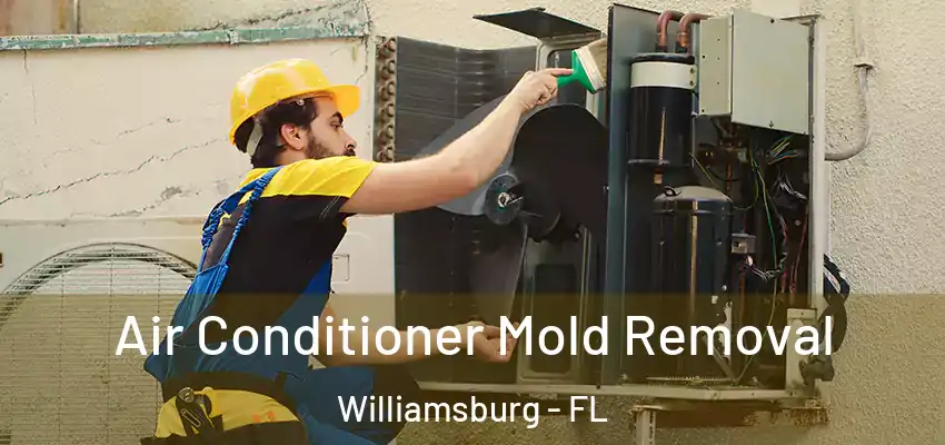  Air Conditioner Mold Removal Williamsburg - FL