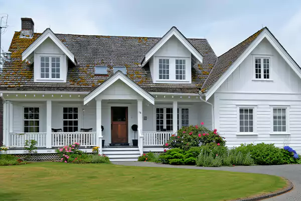 Mold Removal Services in Panama City, FL