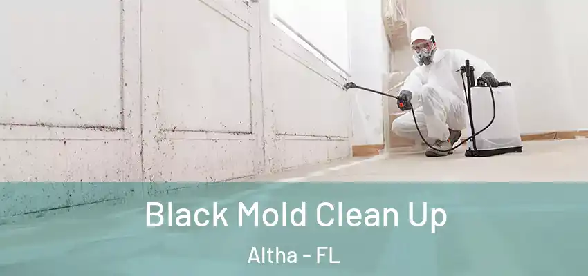  Black Mold Clean Up Altha - FL