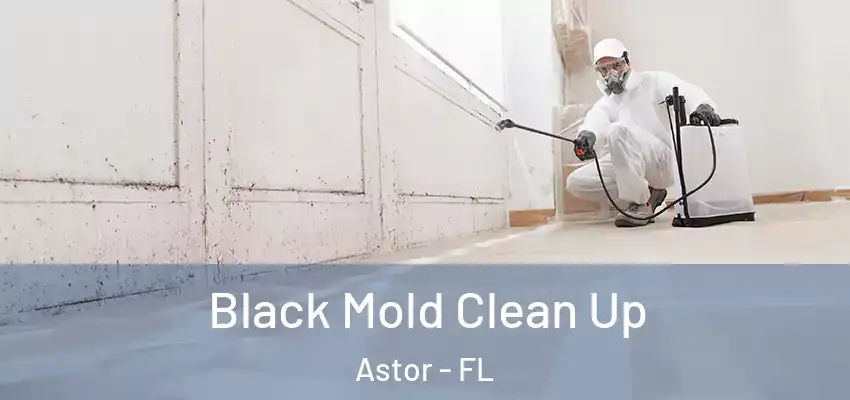  Black Mold Clean Up Astor - FL