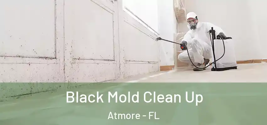 Black Mold Clean Up Atmore - FL