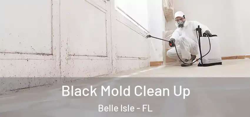  Black Mold Clean Up Belle Isle - FL