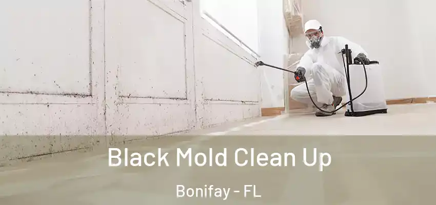  Black Mold Clean Up Bonifay - FL