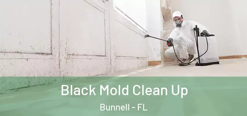  Black Mold Clean Up Bunnell - FL