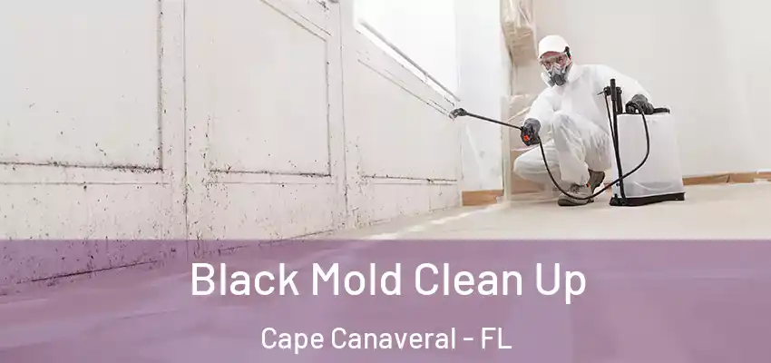  Black Mold Clean Up Cape Canaveral - FL