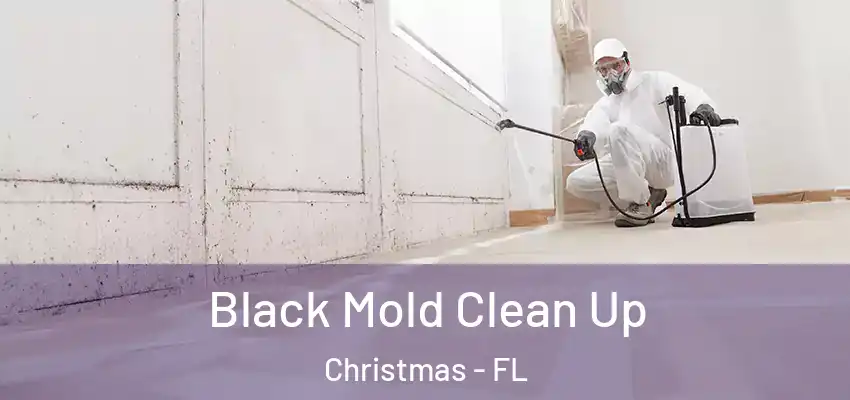  Black Mold Clean Up Christmas - FL