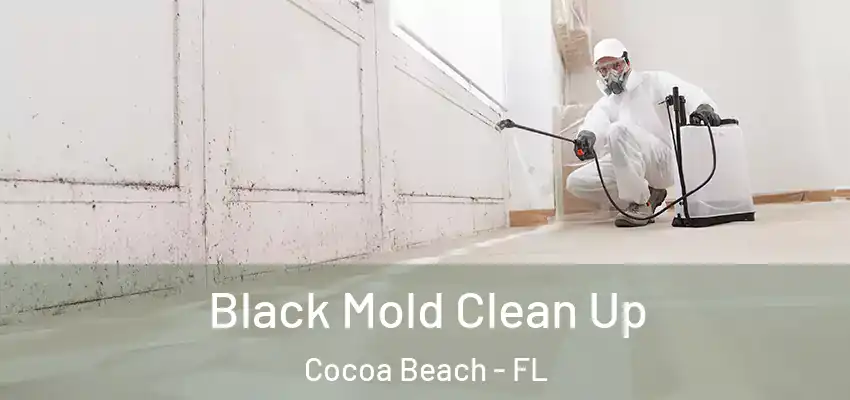  Black Mold Clean Up Cocoa Beach - FL