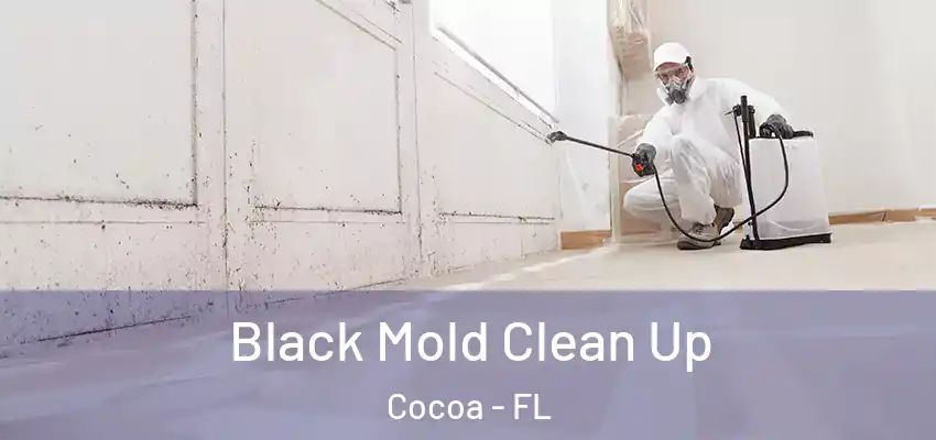  Black Mold Clean Up Cocoa - FL