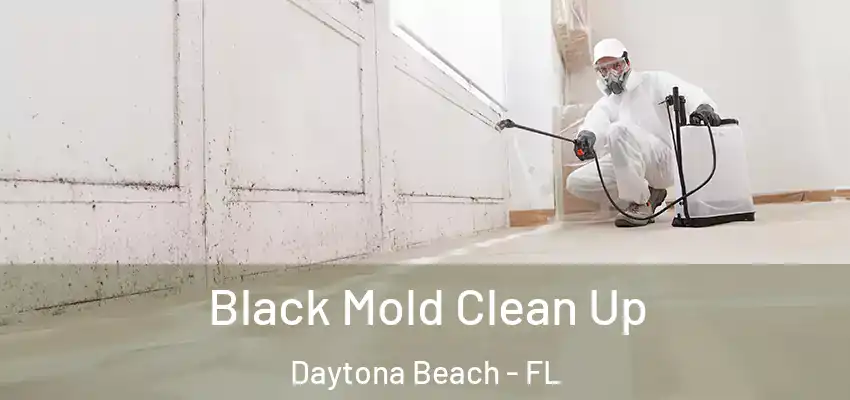 Black Mold Clean Up Daytona Beach - FL