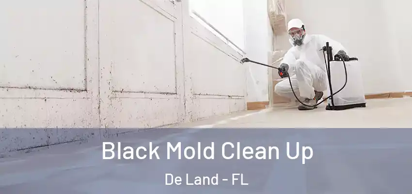 Black Mold Clean Up De Land - FL